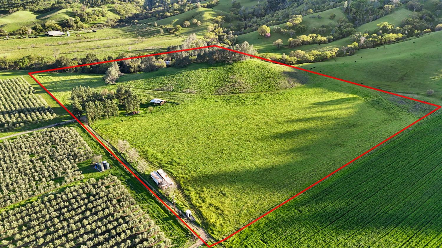 19890 County Road 79