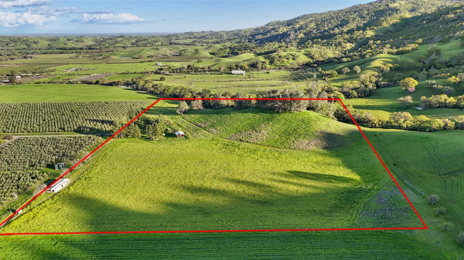 19890 County Road 79