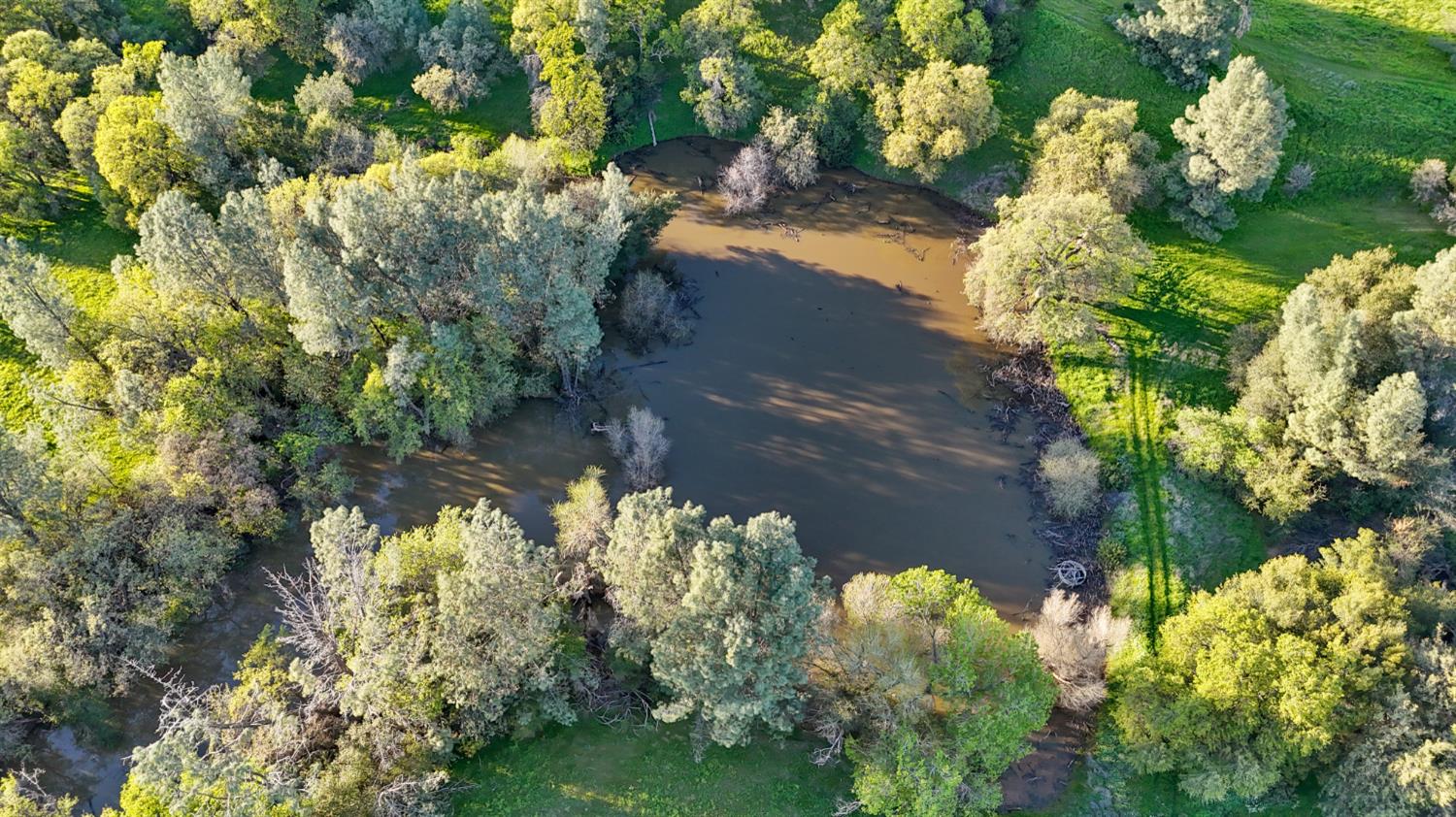 19890 County Road 79