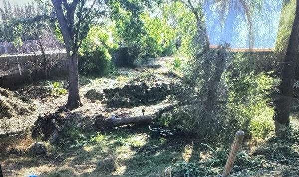 1365 WILLIAMSON RD, MANTECA, CA 95337 - Image 2eb6119fc9eaa3f741d77c74aef811f1/1454933801