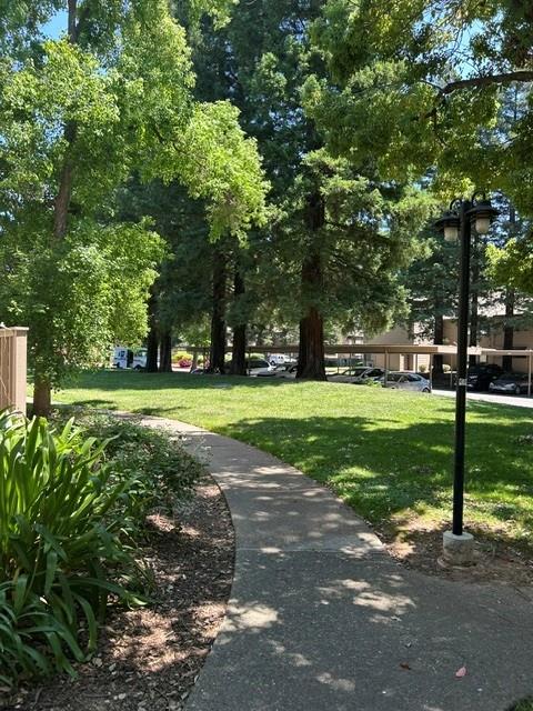 3715 Tallyho Drive 32