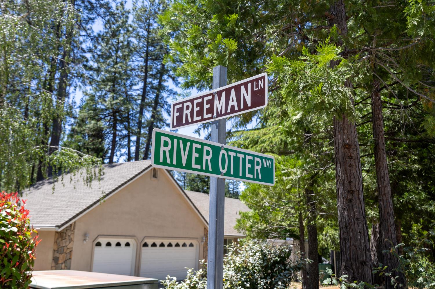 295 River Otter Way