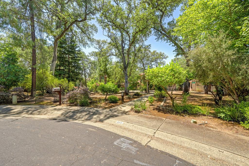 808 Orange Grove Way