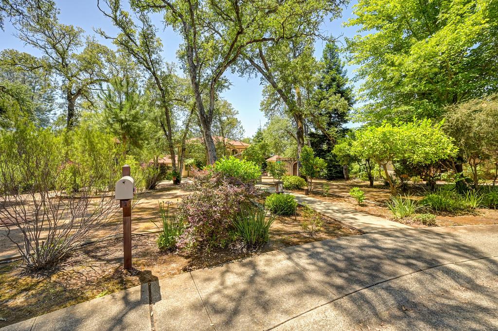 808 Orange Grove Way