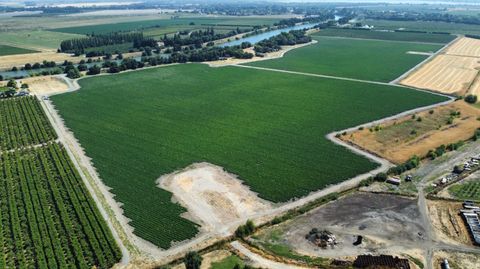 13485 Isleton Road Walnut Grove CA 95690