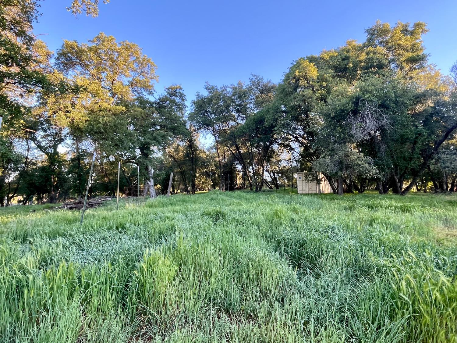 29600 McCourtney Road