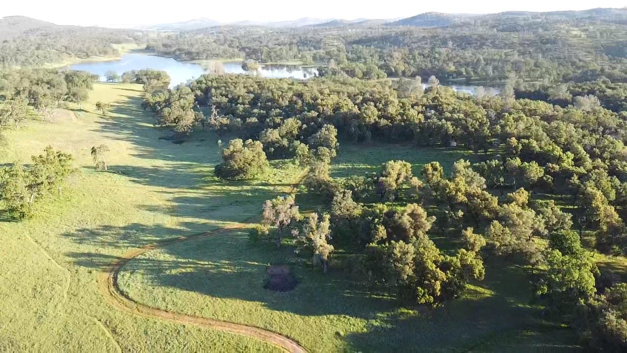 29600 McCourtney Road