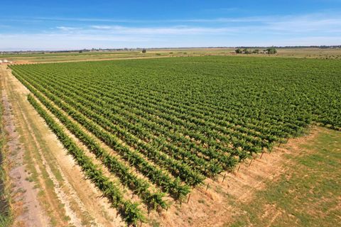 14226 State Highway 160 Walnut Grove CA 95690