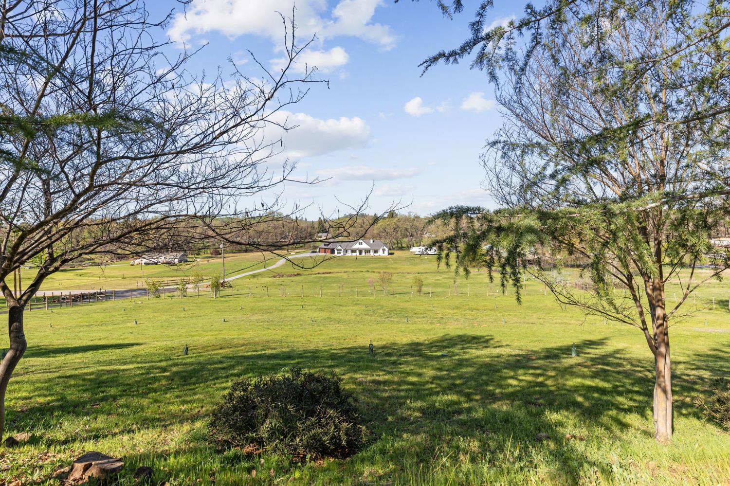 13399 Bell Brook Drive