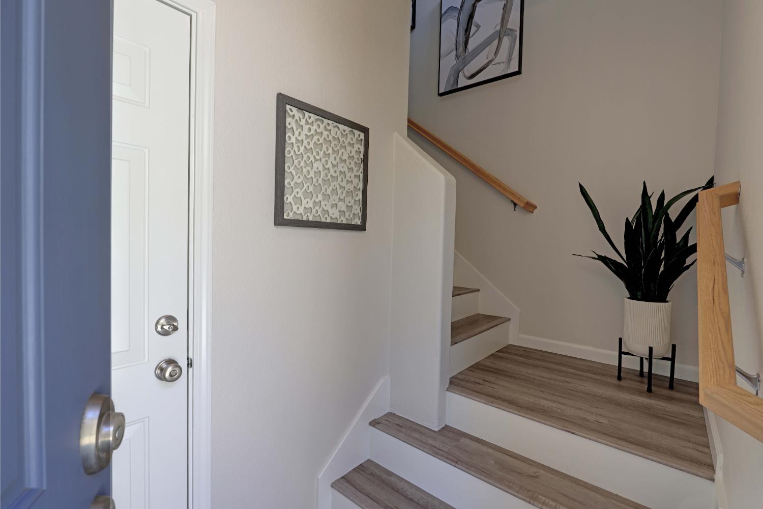 109 Dante Circle