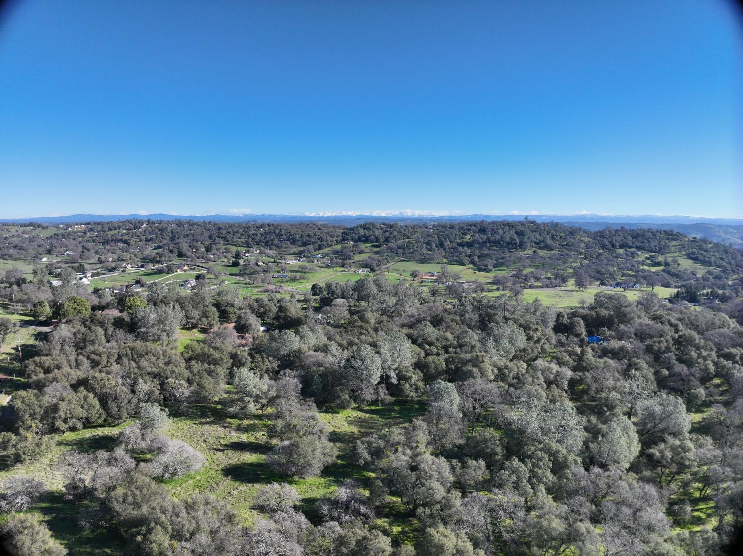 4981 Mourning Dove Lane