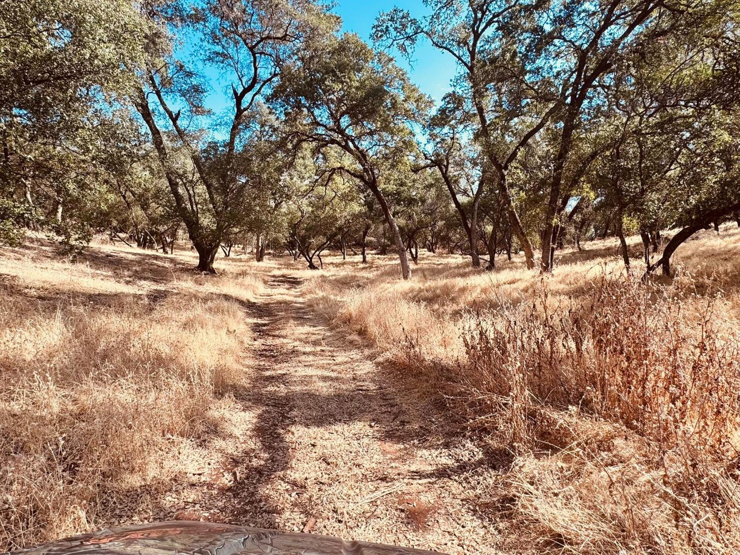 4981 Mourning Dove Lane