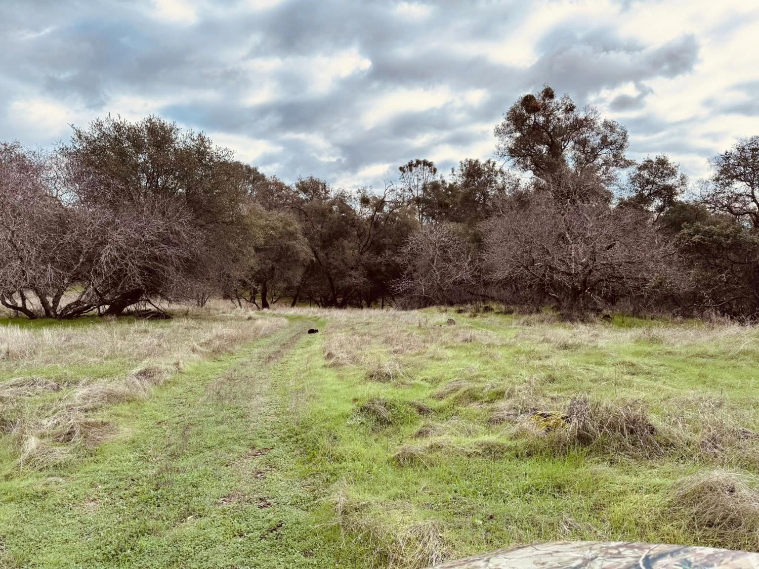 4981 Mourning Dove Lane