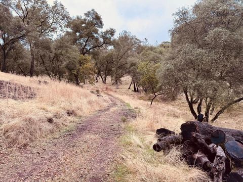 4981 Mourning Dove Lane Shingle Springs CA 95682