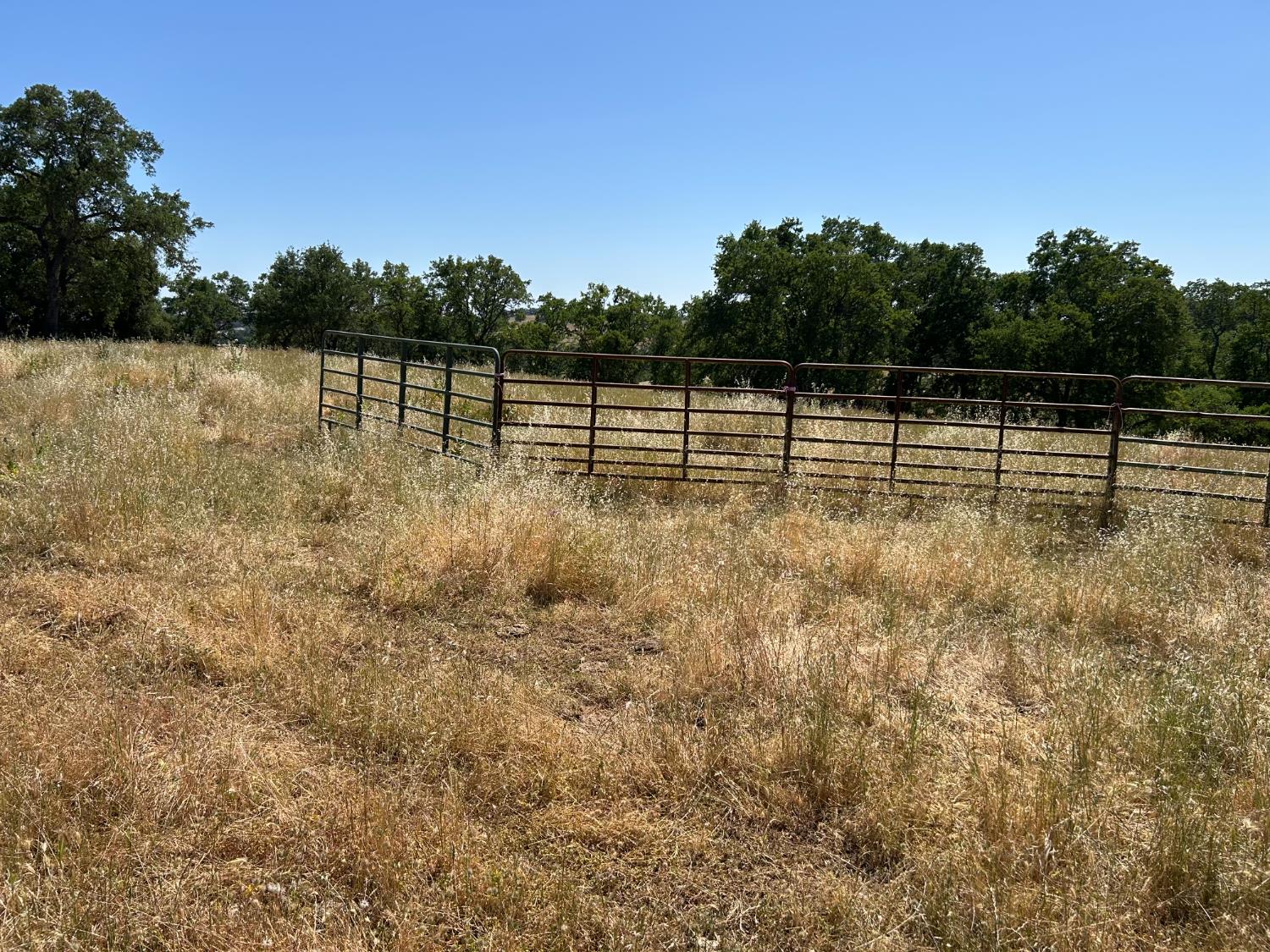 17830 HIGHWAY 49 Highway