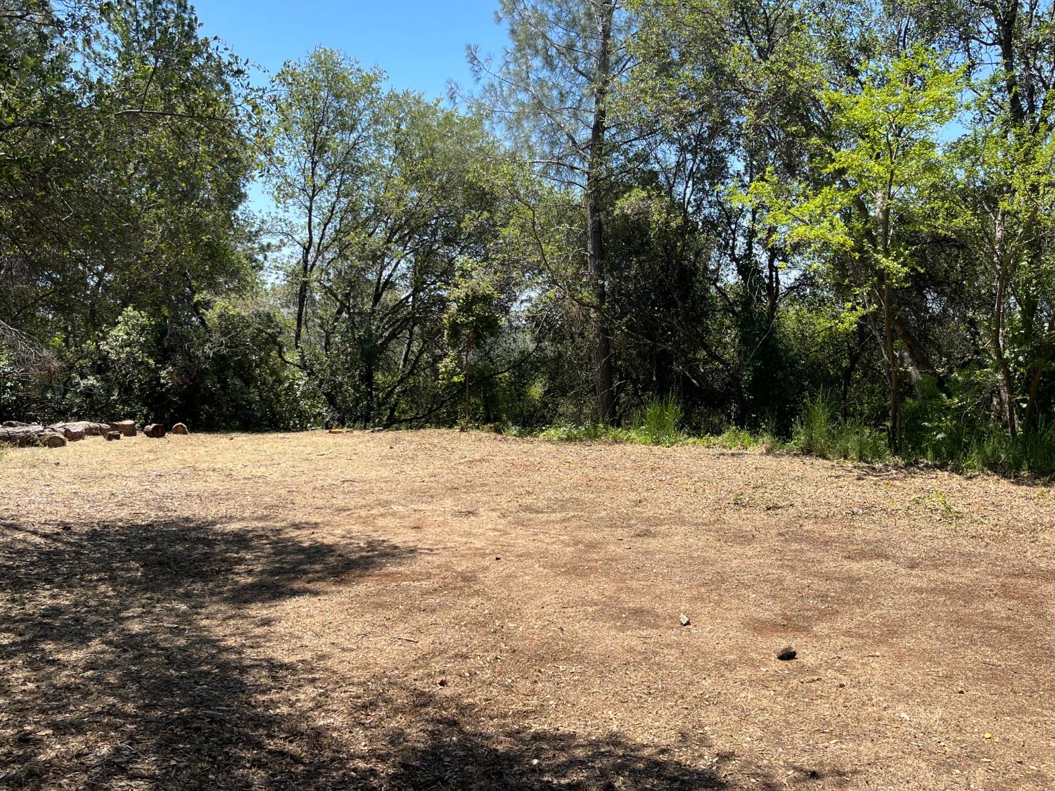 202 Mulberry Lane