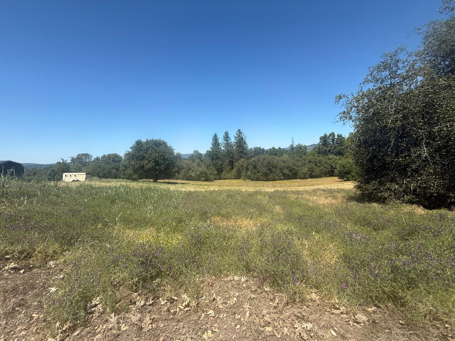 2322 Myrick Road