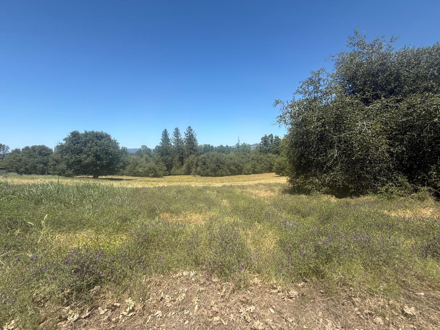 2322 Myrick Road