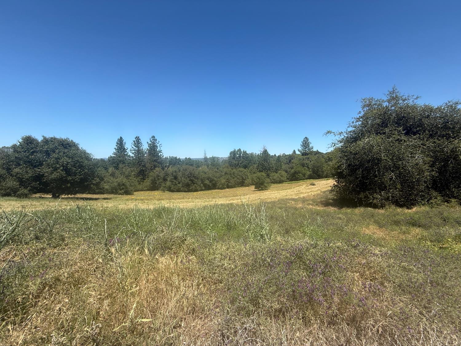 2322 Myrick Road