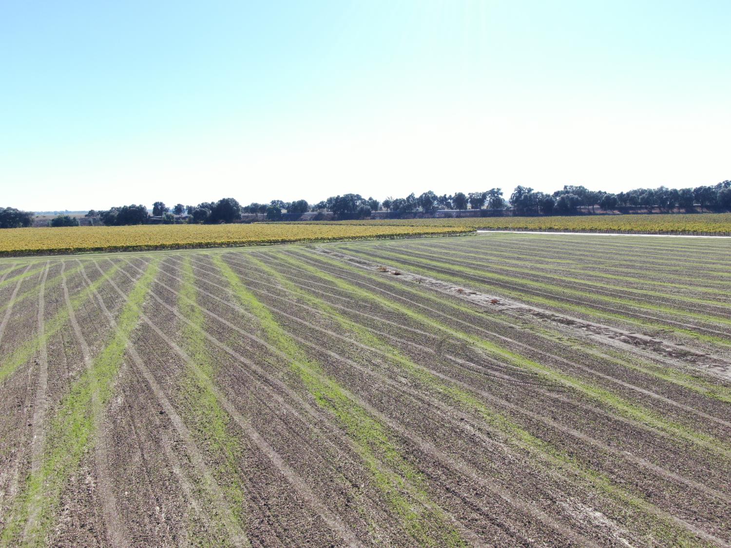 50725 Babel Slough Rd