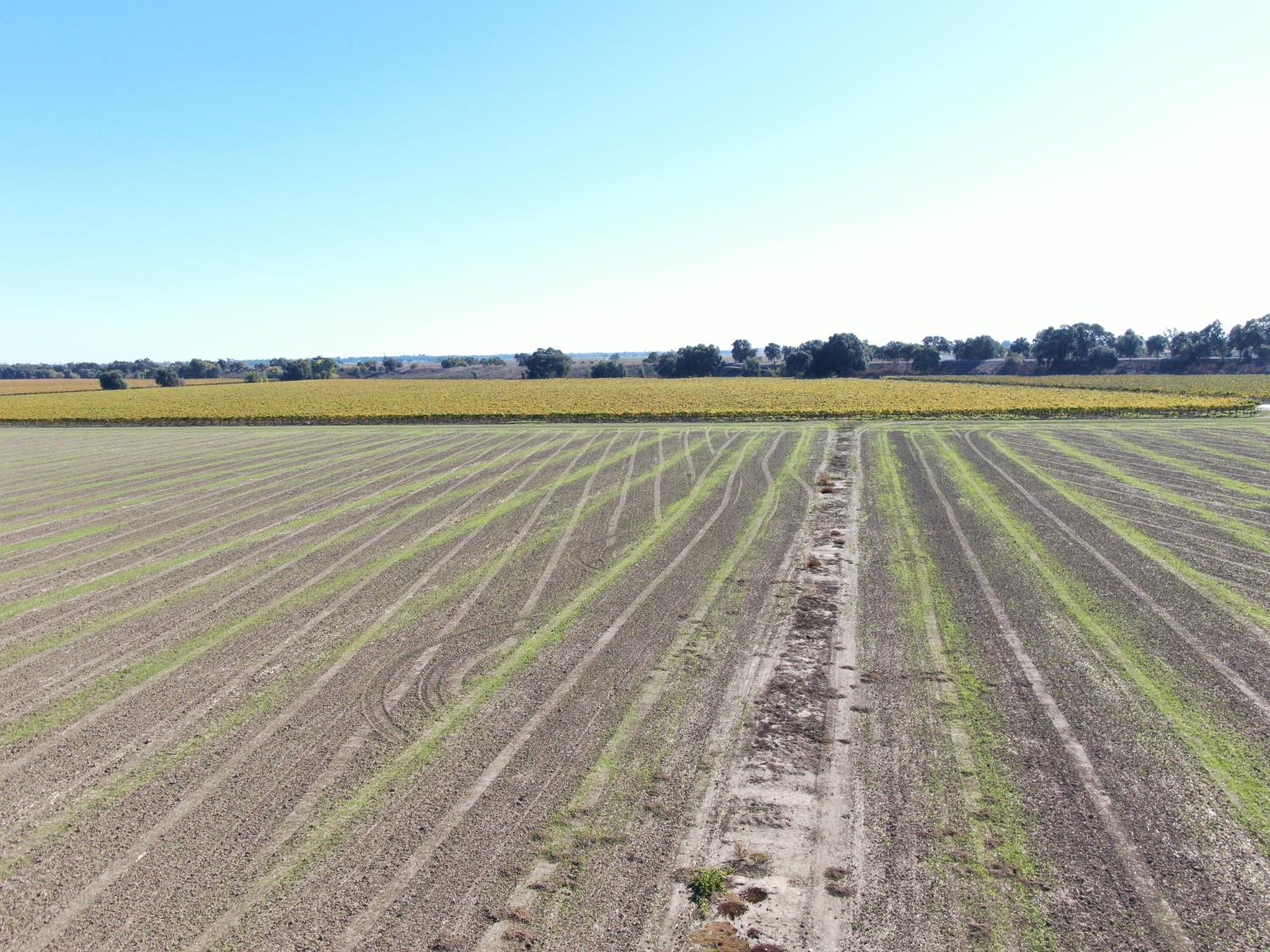 50725 Babel Slough Rd