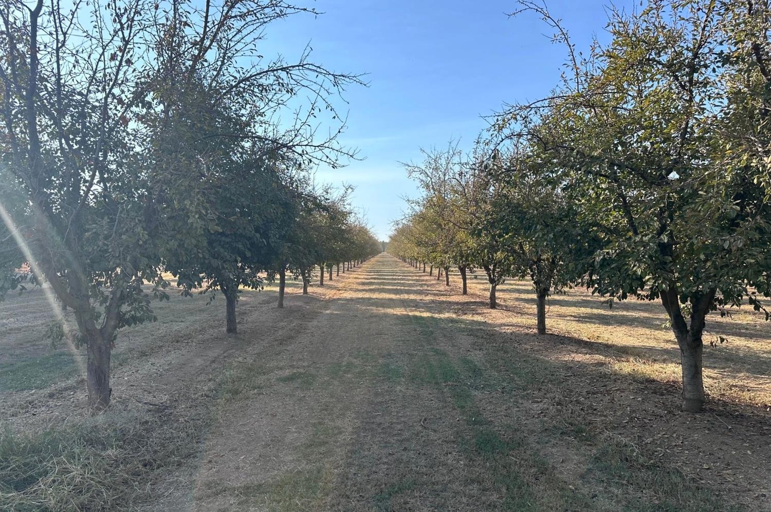 0 Treatment Access Road