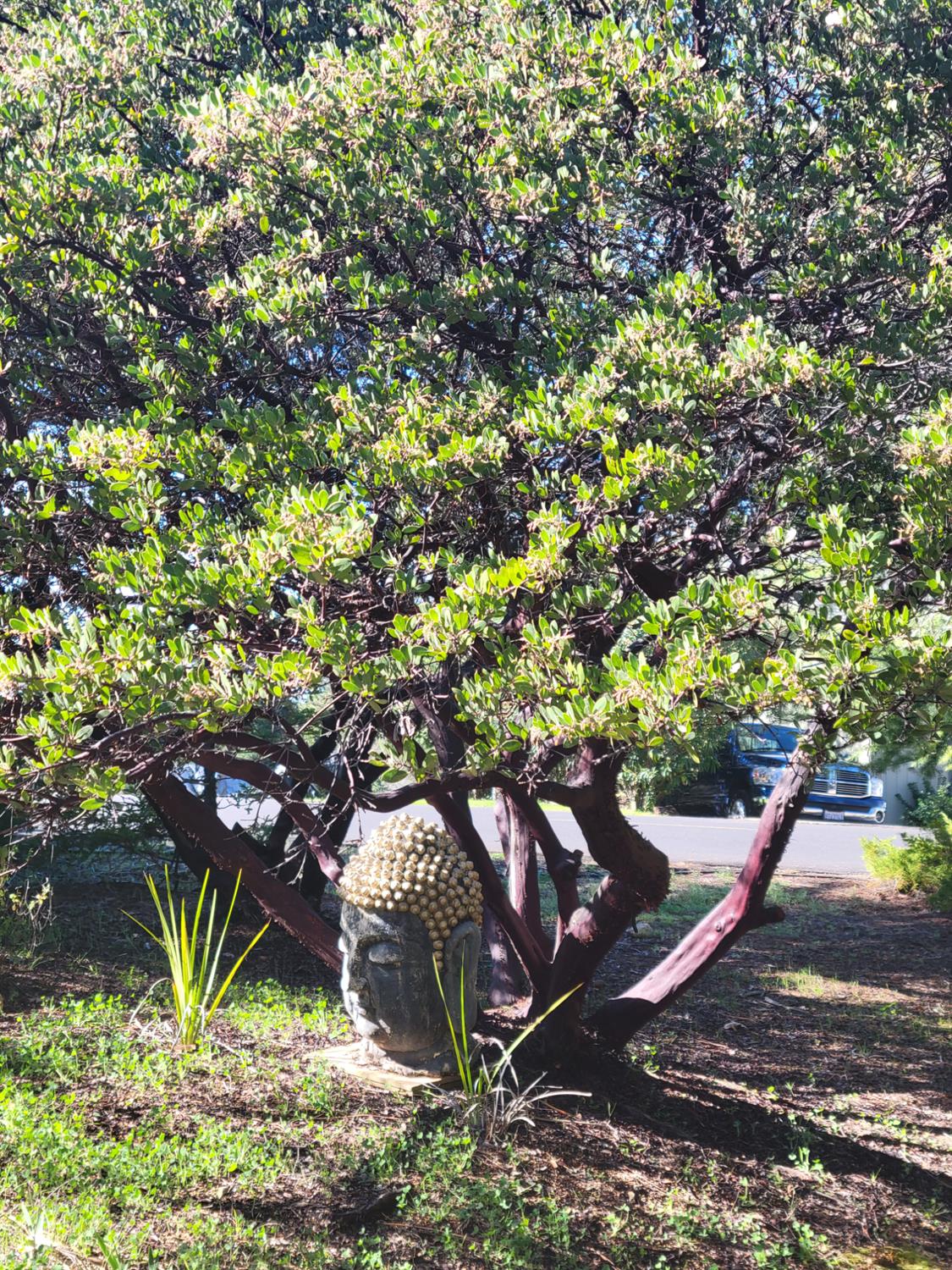 3417 Secret Lake Trail