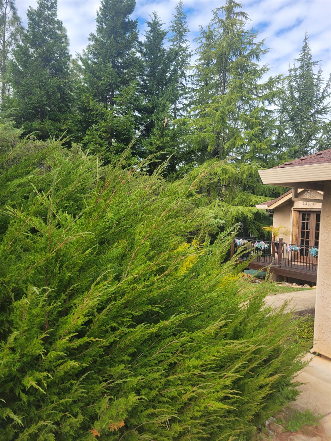 3417 Secret Lake Trail