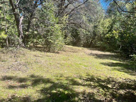 MLS: 225035690