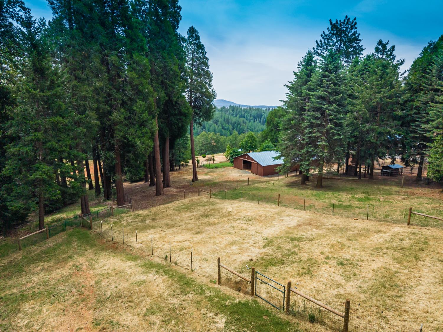 29070 Ridge View Road