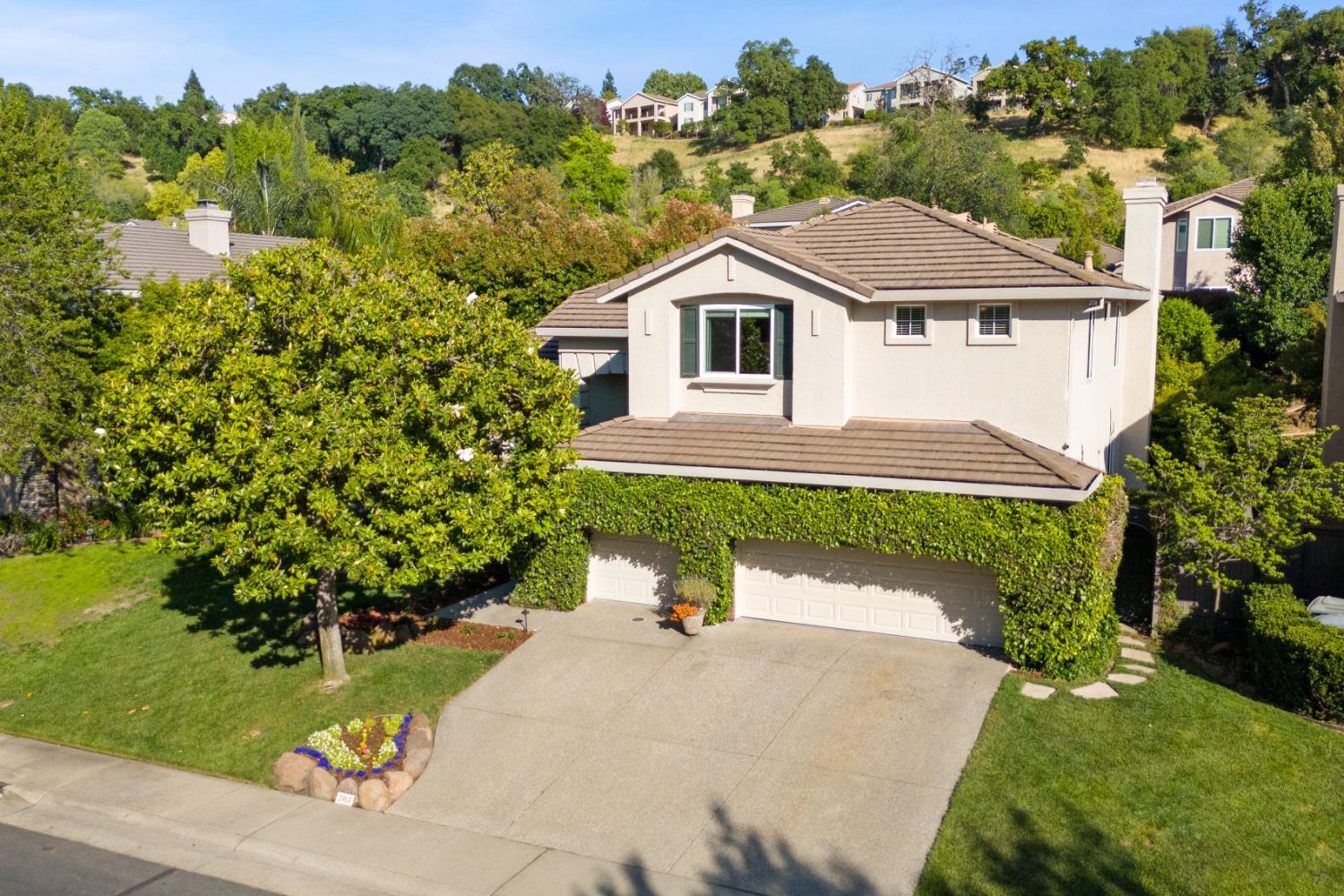 2913 Old Oak Tree Way