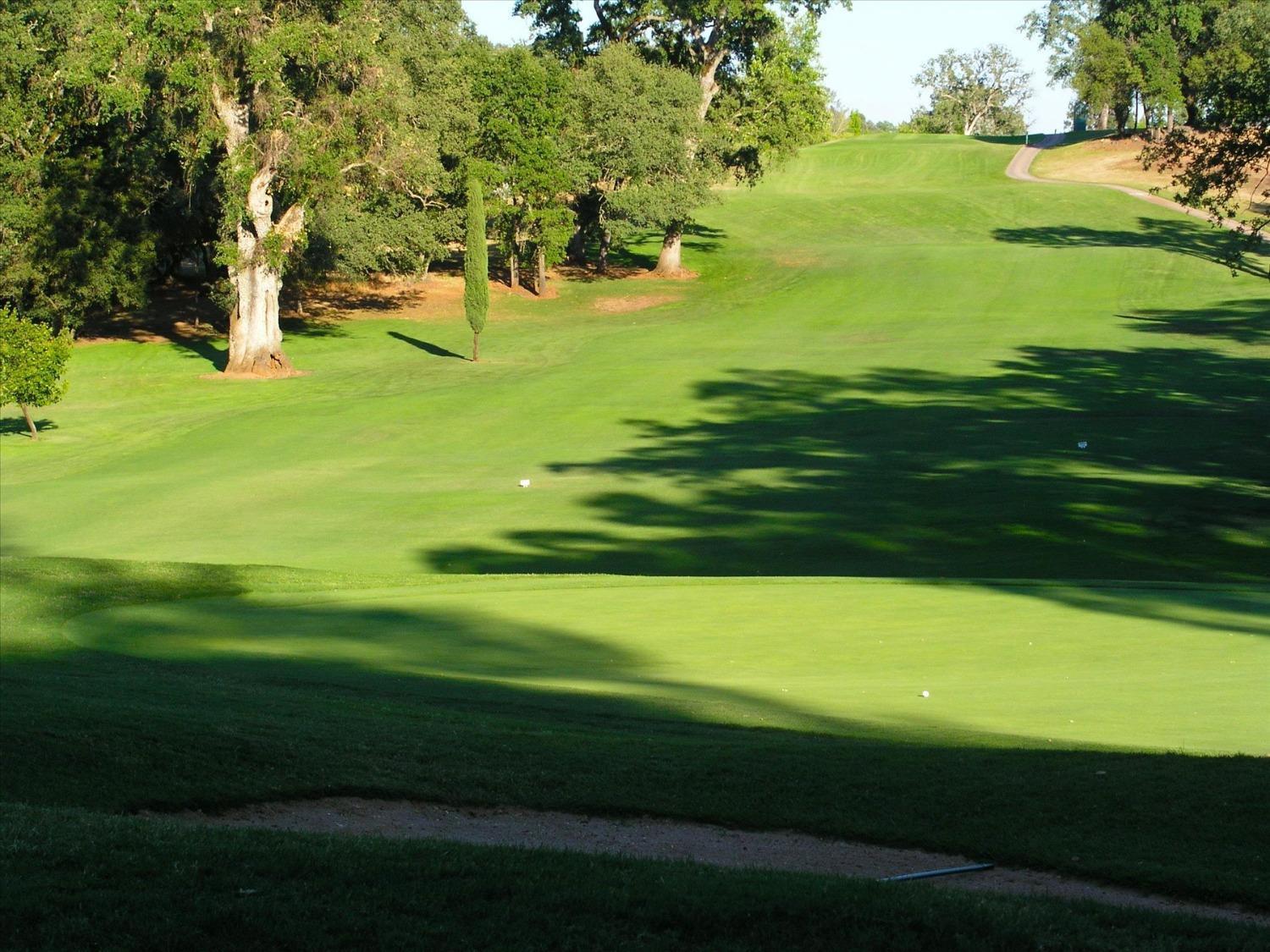 13033 Lake Wildwood Drive