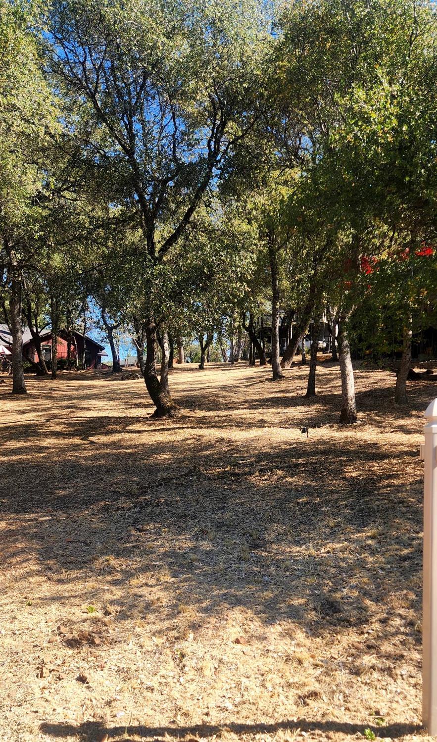 13033 Lake Wildwood Drive