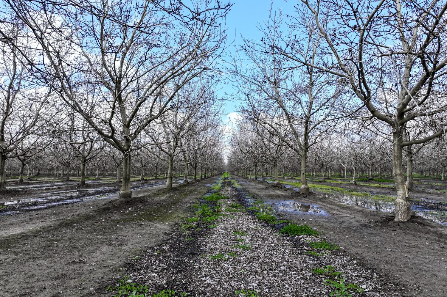 18000 Road 180