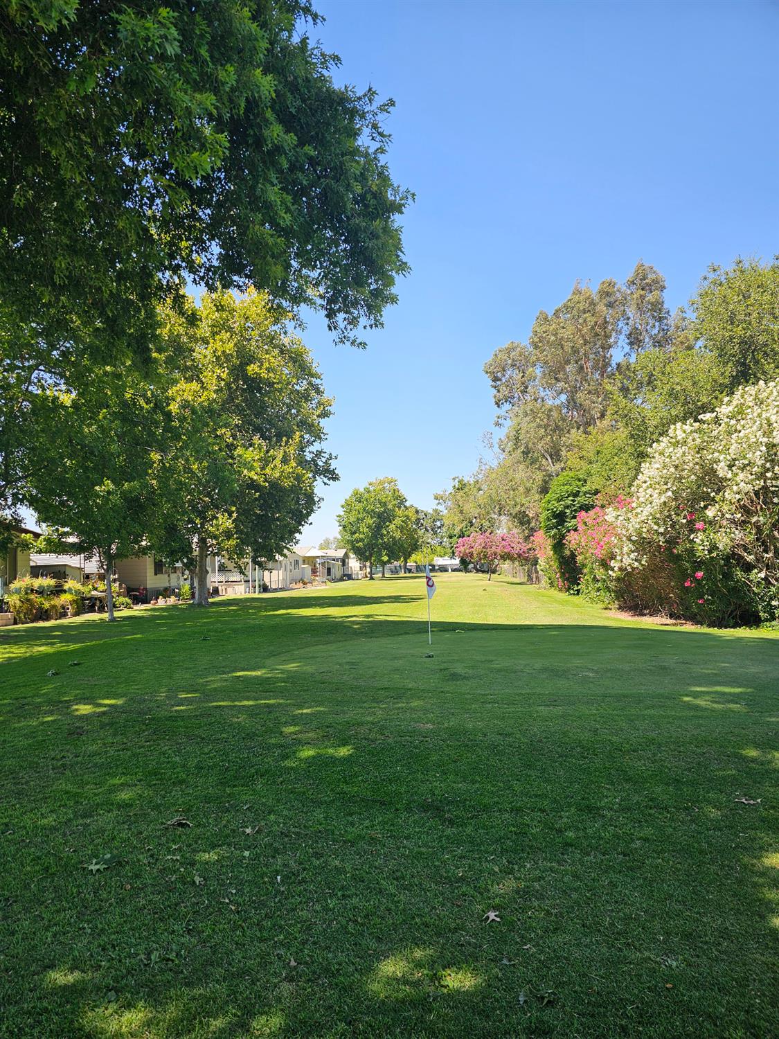 8665 Florin Road 24