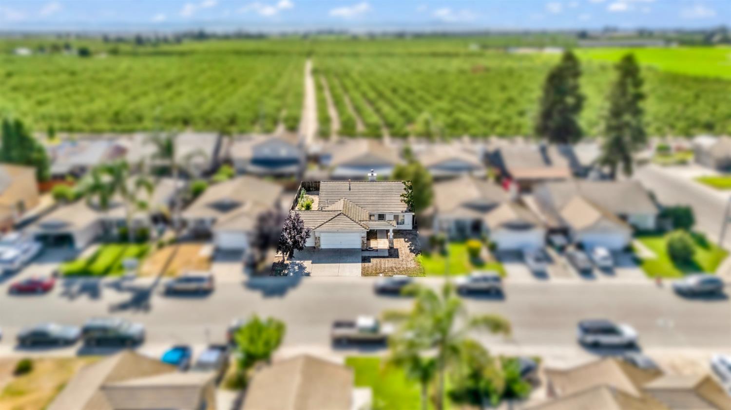 10141 Tracy Lane