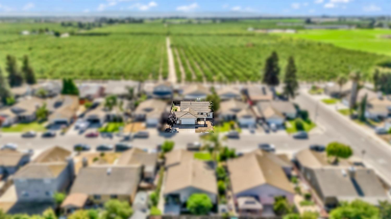 10141 Tracy Lane