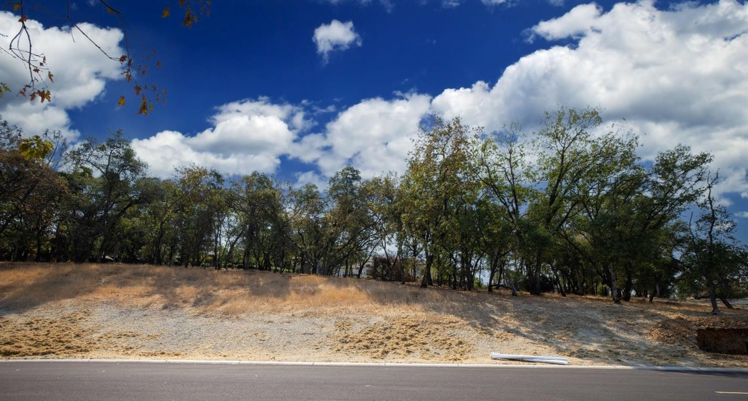 4239 Raphael Drive