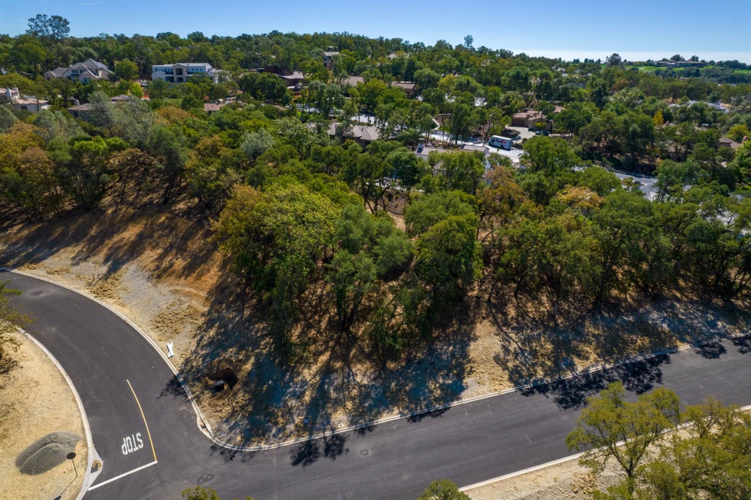 4239 Raphael Drive