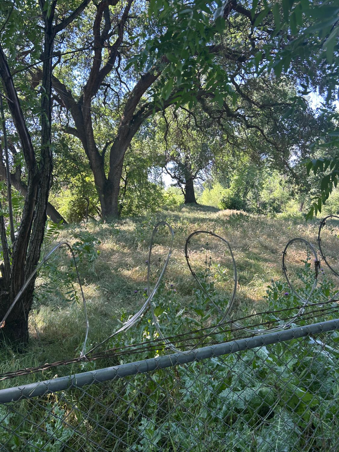 913 S Santa Cruz Avenue