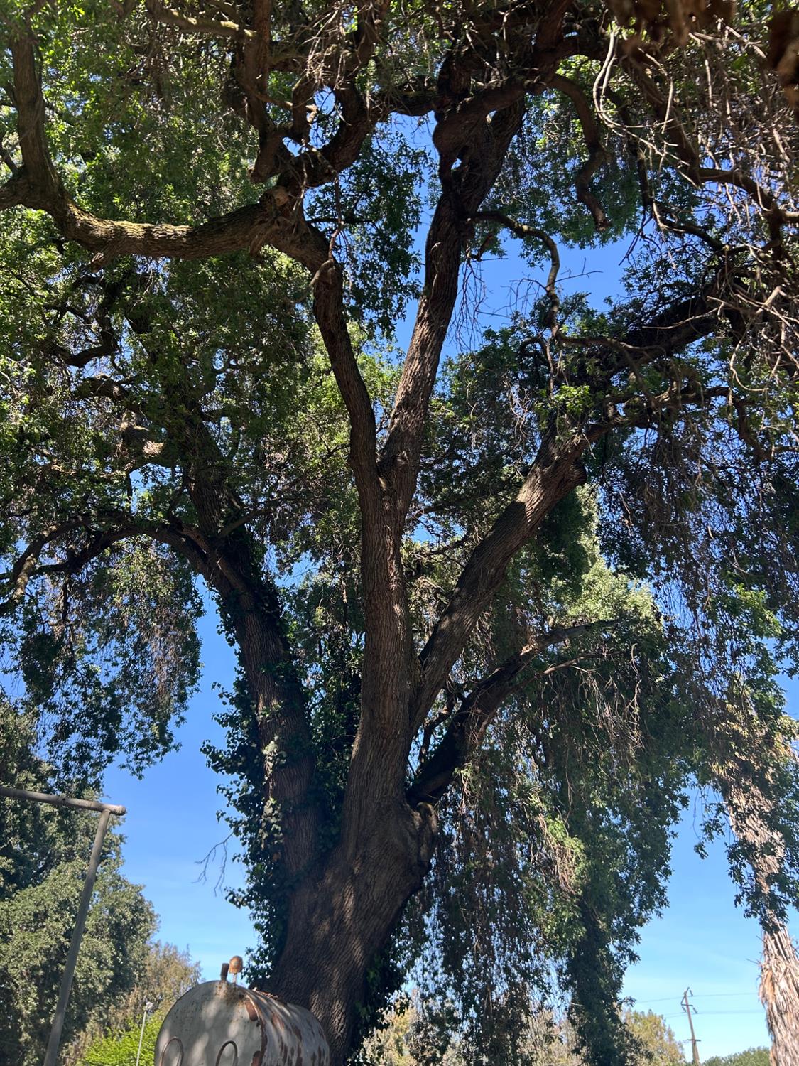 913 S Santa Cruz Avenue