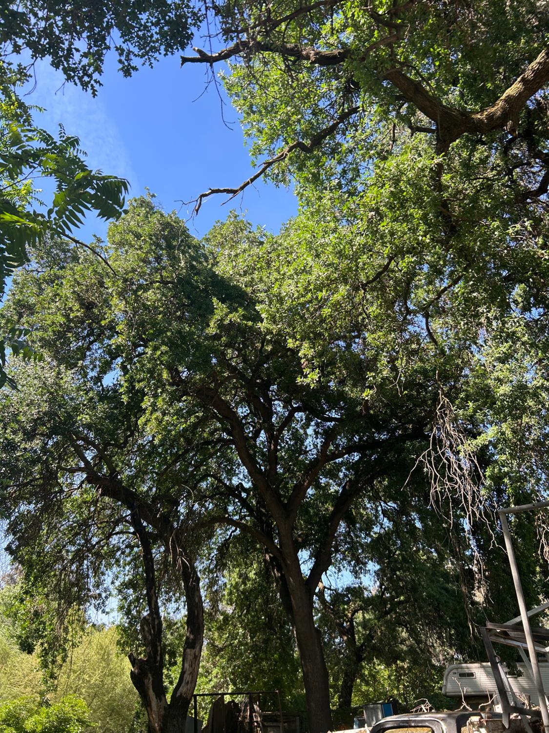 913 S Santa Cruz Avenue