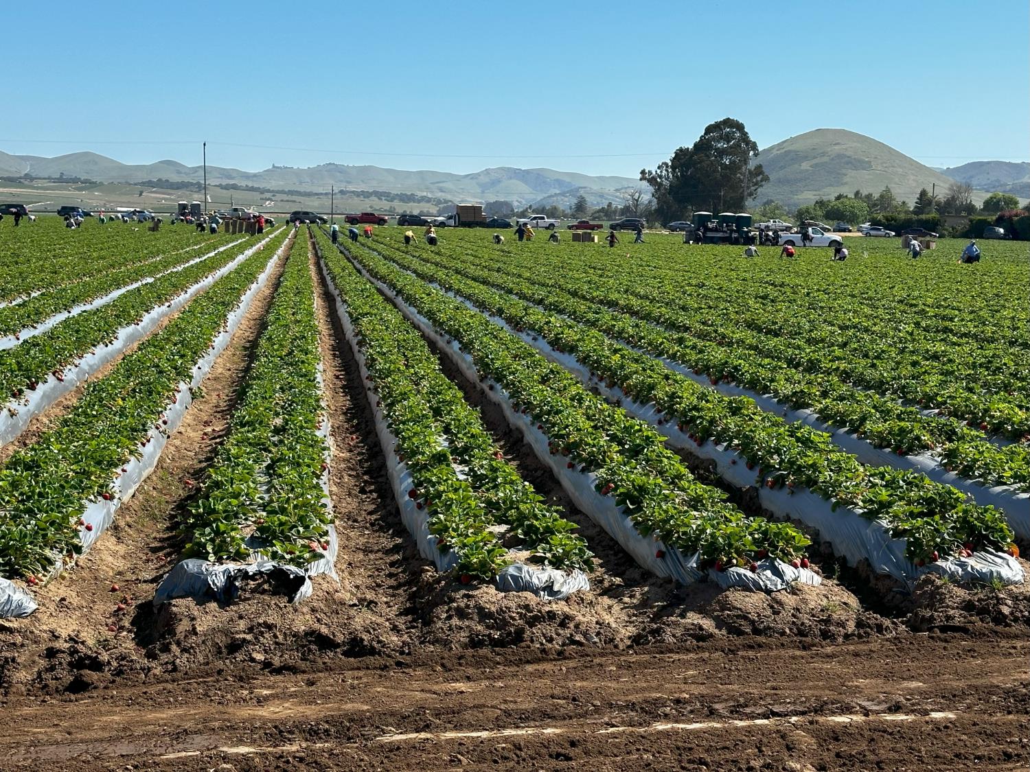 581 San Juan Grade Road