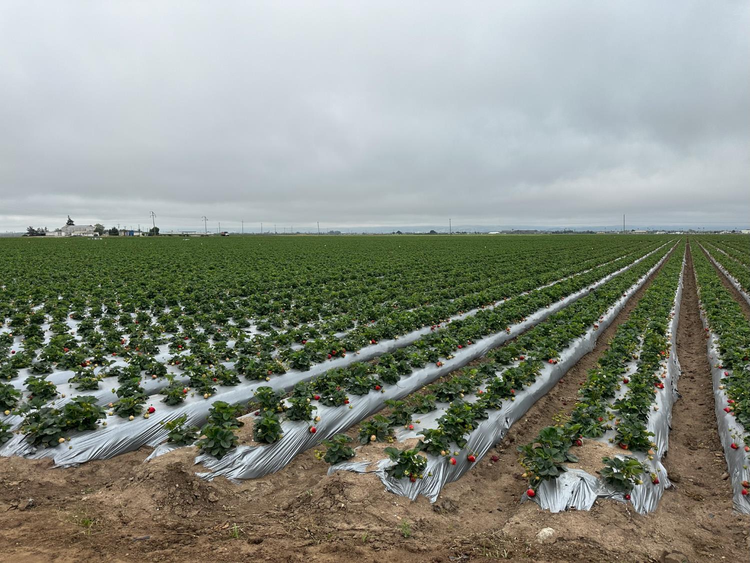 581 San Juan Grade Road