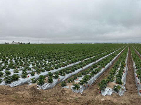 581 San Juan Grade Road Salinas CA 93907