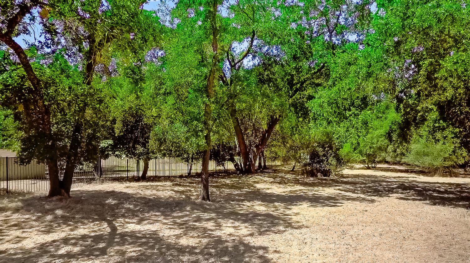 4516 Sierra View Way