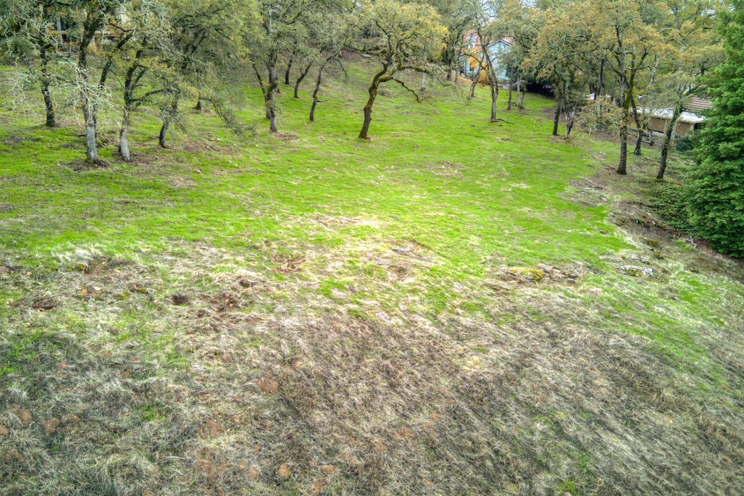 14835 Guadalupe Drive