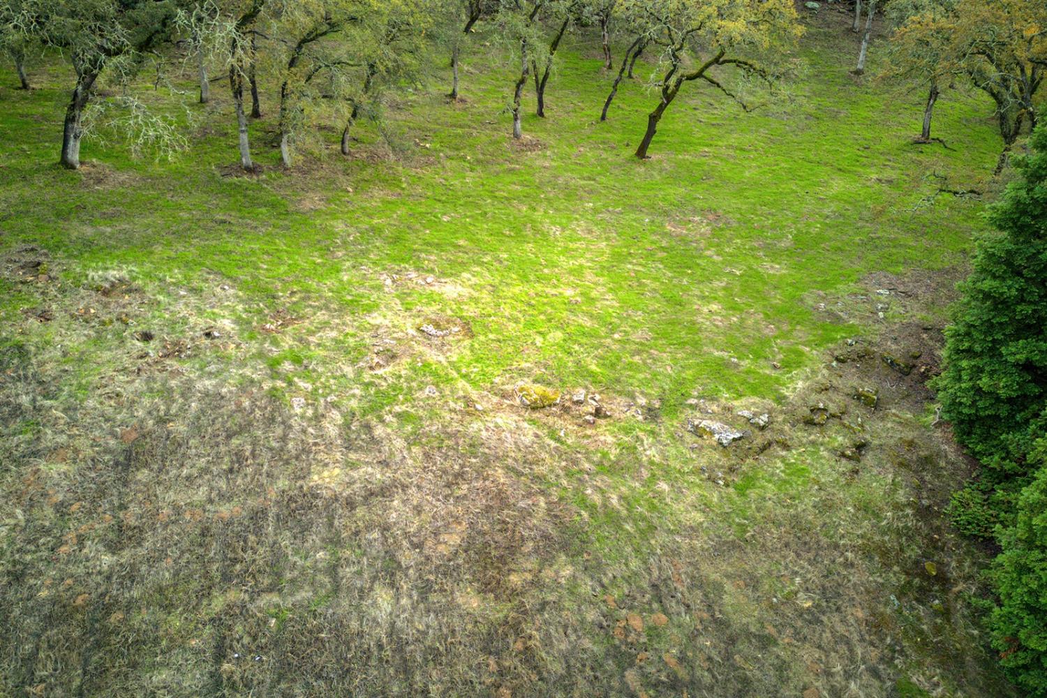 14835 Guadalupe Drive