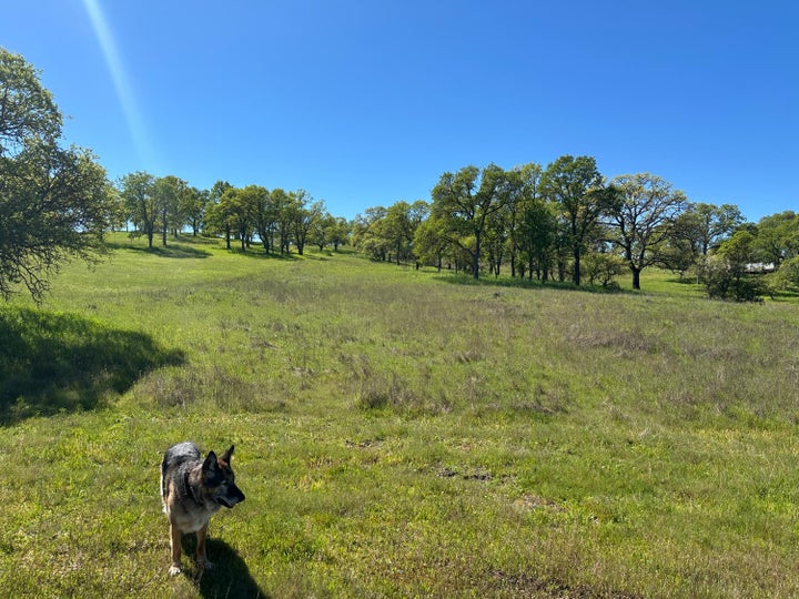 Photo 1 of 6 — 3404 Little John Road, Copperopolis, CA 95228