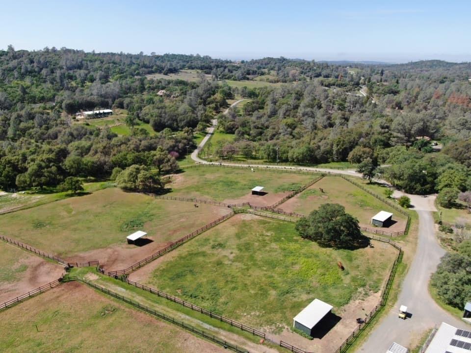 14134 Serpentine Farm Lane